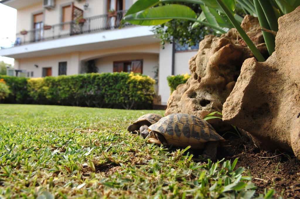 San Pietro Bed & Breakfast Noto Dış mekan fotoğraf